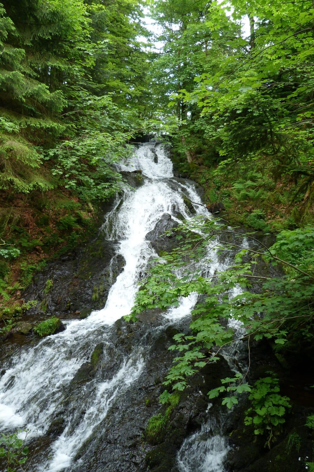 Cascades de Retournemer & Charlemagne