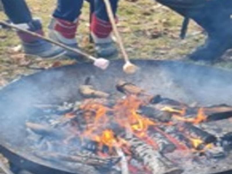 Un après-midi à la ferme